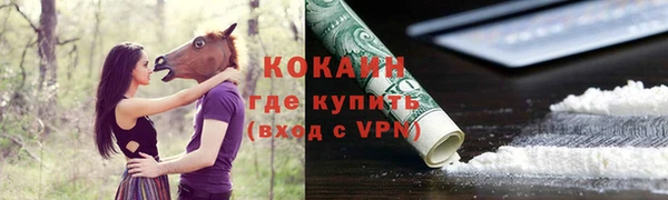 индика Белокуриха
