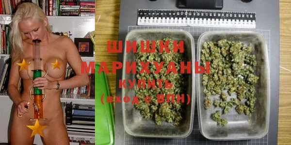 ПСИЛОЦИБИНОВЫЕ ГРИБЫ Покачи