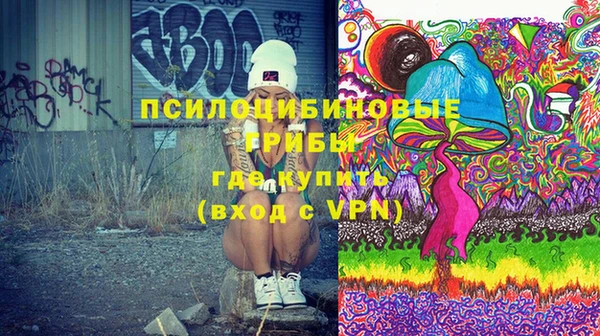 индика Белокуриха