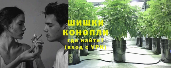 индика Белокуриха