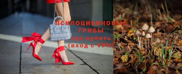 стаф Беломорск