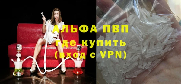 индика Белокуриха